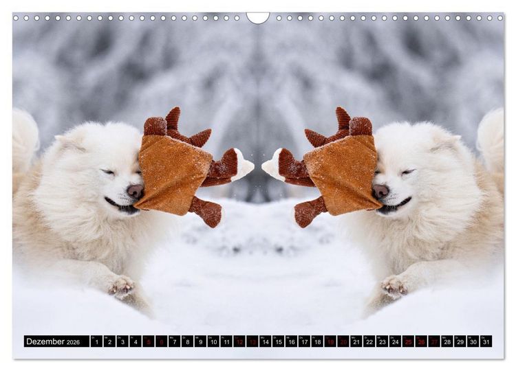 Produktbild: Mit doppelter Power durch das Jahr (Wandkalender 2026 DIN A3 quer), CALVENDO Monatskalender