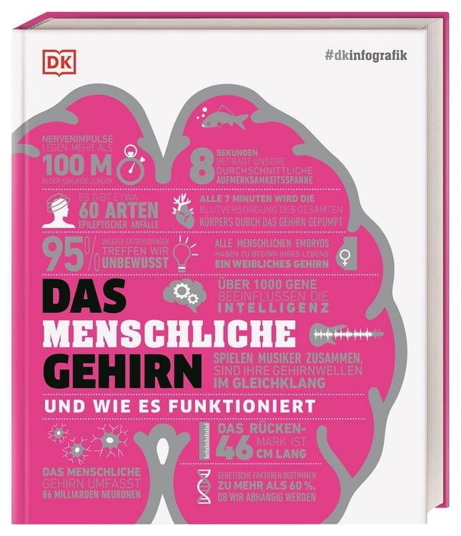 Produktbild: #dkinfografik. Das menschliche Gehirn und wie es funktioniert