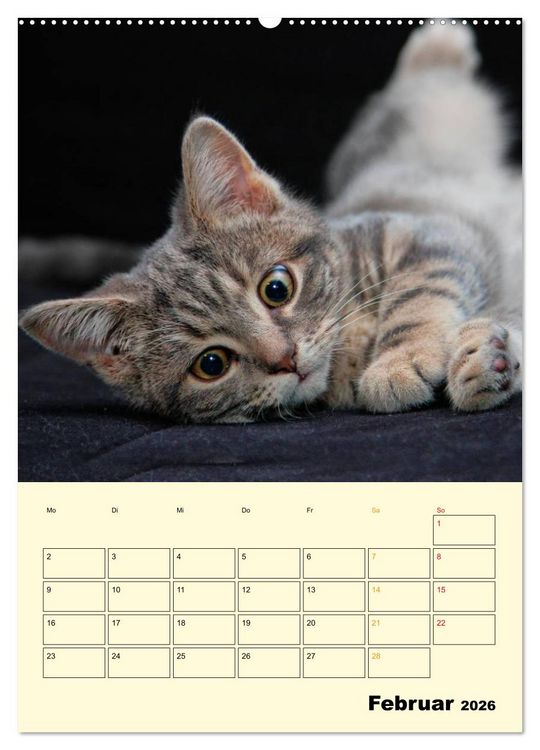 Produktbild: K&auml;tzchen - Theater (Wandkalender 2026 DIN A2 hoch), CALVENDO Monatskalender