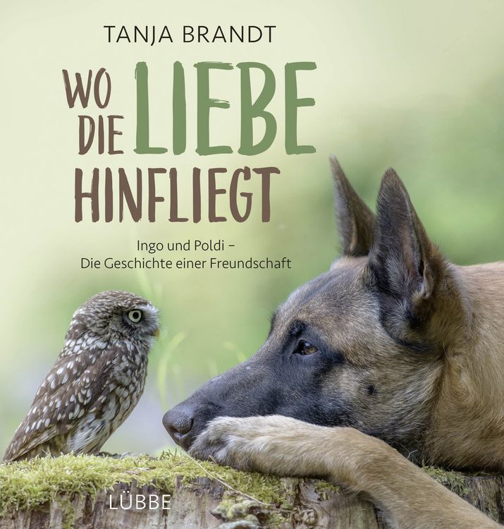 Produktbild: Wo die Liebe hinfliegt