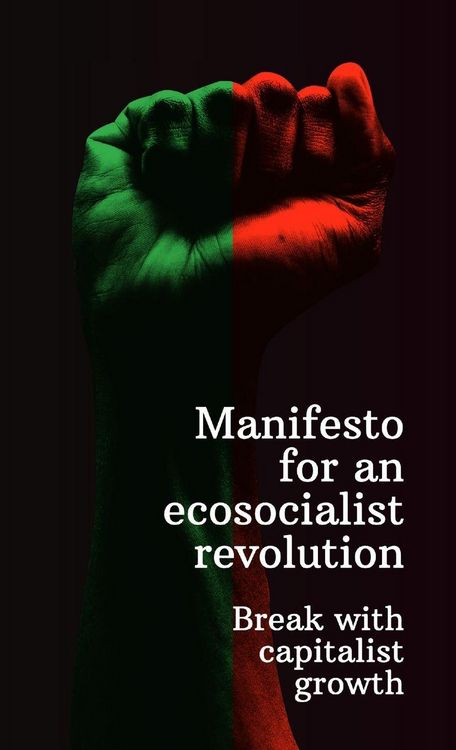 Produktbild: Manifesto for an ecosocialist revolution - Break with capitalist growth