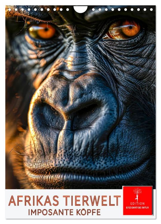 Produktbild: Afrikas Tierwelt - imposante K&ouml;pfe (Wandkalender 2026 DIN A4 hoch), CALVENDO Monatskalender
