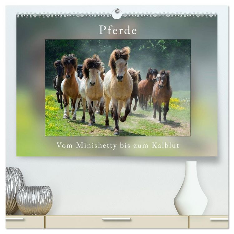 Produktbild: Pferde Vom Minishetty bis zum Kaltblut (hochwertiger Premium Wandkalender 2026 DIN A2 quer), Kunstdruck in Hochglanz