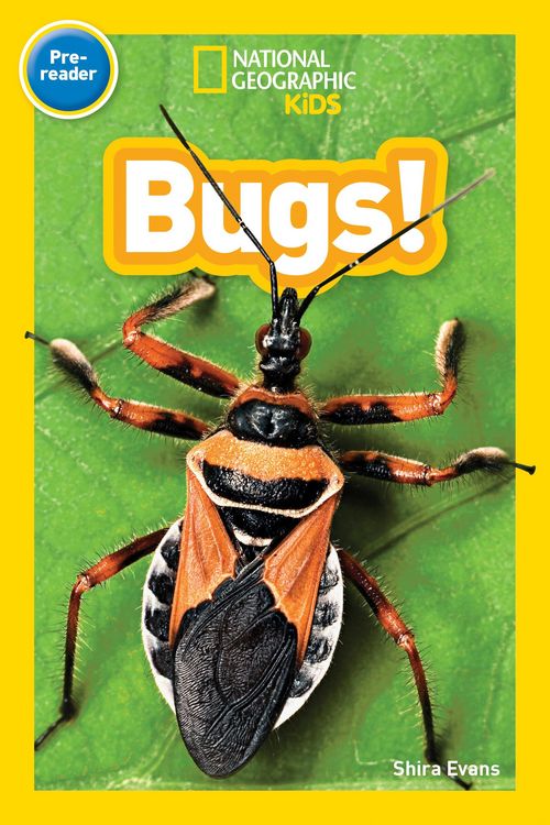 Produktbild: Bugs! (National Geographic Kids Readers, Pre-Reader)