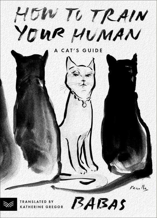 Produktbild: How to Train Your Human