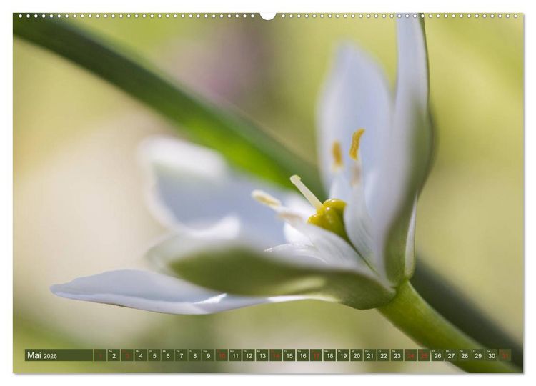 Produktbild: Die Natur hautnah (hochwertiger Premium Wandkalender 2026 DIN A2 quer), Kunstdruck in Hochglanz