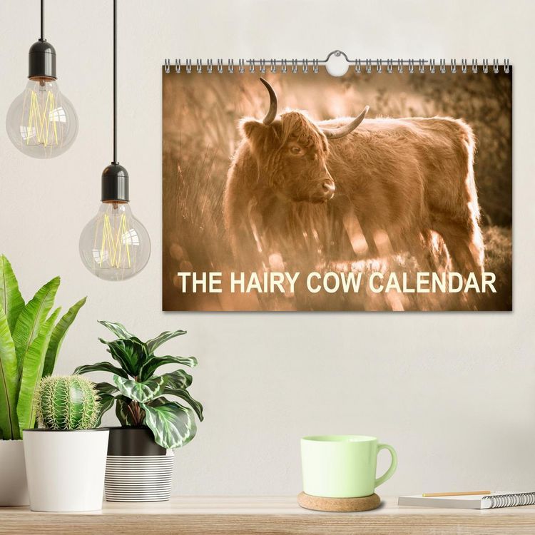 Produktbild: The Hairy Cow Calendar (Wall Calendar 2026 DIN A4 landscape), CALVENDO 12 Month Wall Calendar