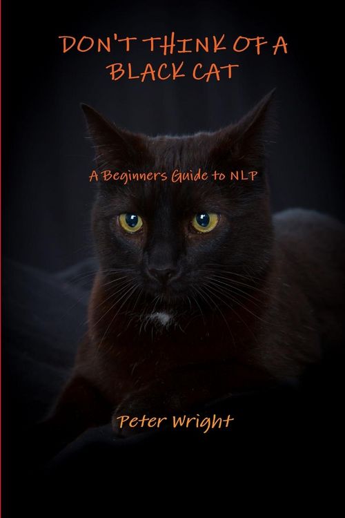 Produktbild: Don't Think of a Black Cat