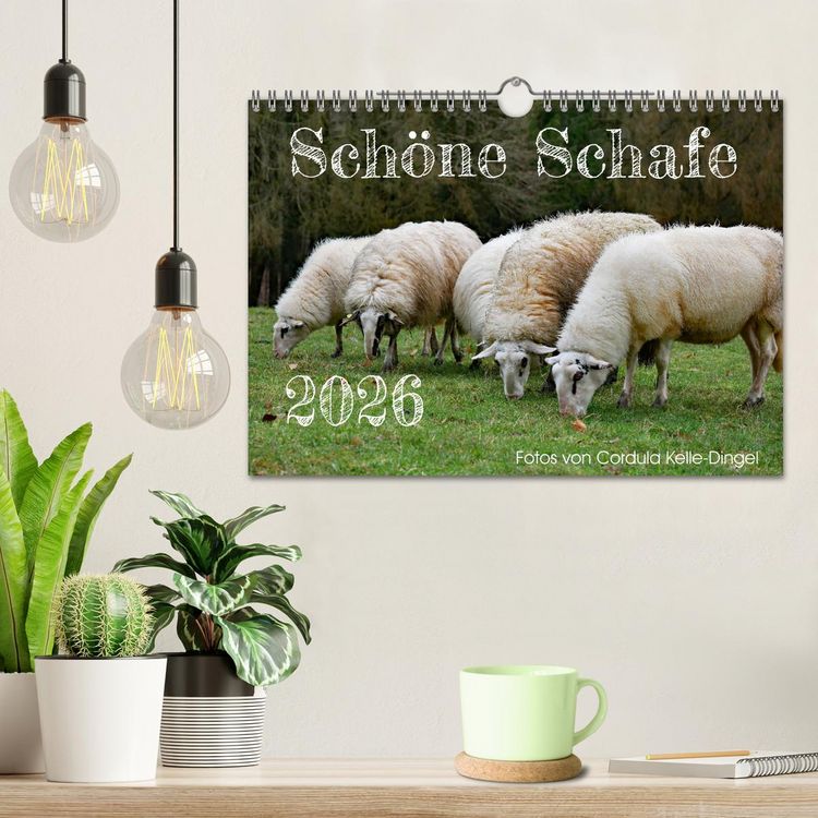 Produktbild: Sch&ouml;ne Schafe (Wandkalender 2026 DIN A4 quer), CALVENDO Monatskalender