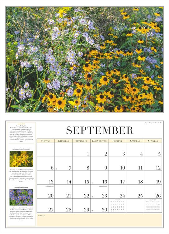 Produktbild: Garten-Kalender 2027