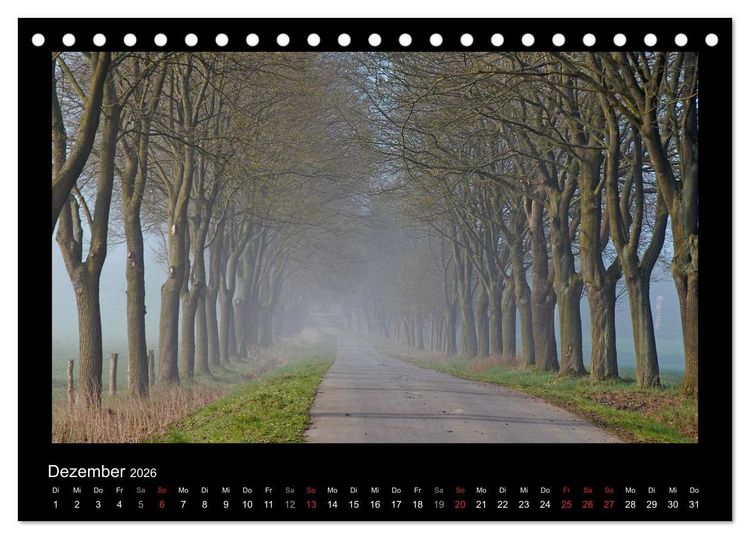 Produktbild: M&auml;rchenhafter Reinhardswald und Urwald Sababurg (Tischkalender 2026 DIN A5 quer), CALVENDO Monatskalender