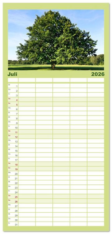 Produktbild: Familienplaner 2026 - Die Buche: 12 Baumportr&auml;ts mit 5 Spalten (Wandkalender, 21 x 45 cm) CALVENDO