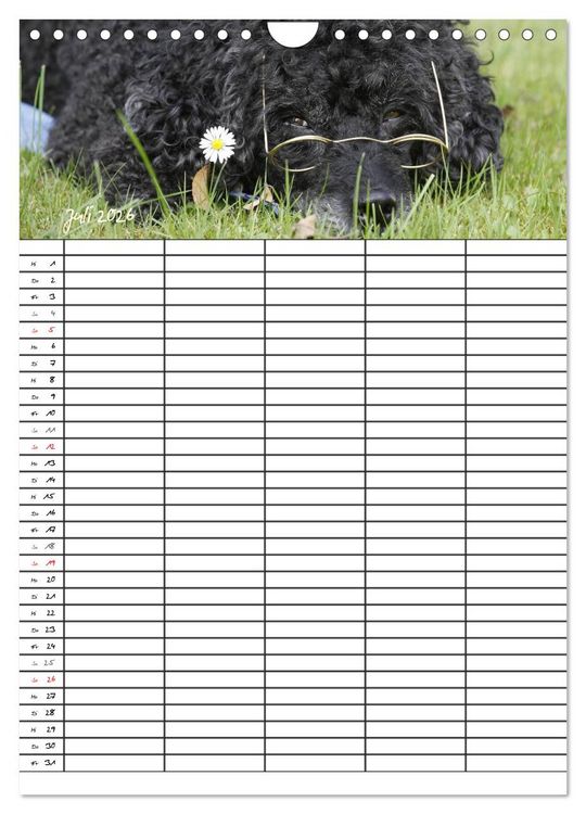 Produktbild: Der Pudel-Familienplaner (Wandkalender 2026 DIN A4 hoch), CALVENDO Monatskalender