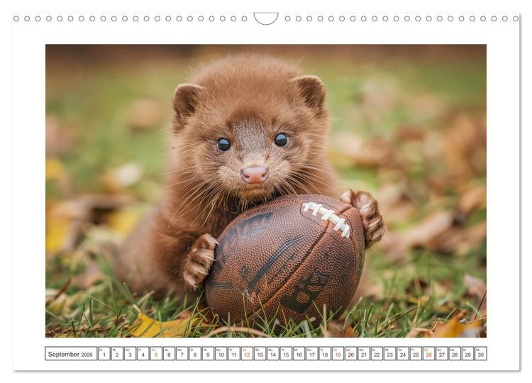 Produktbild: Kleine freche Nerze (Wandkalender 2026 DIN A3 quer), CALVENDO Monatskalender