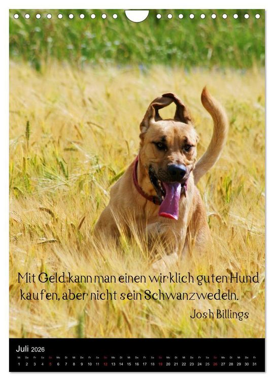 Produktbild: Der Broholmer (Wandkalender 2026 DIN A4 hoch), CALVENDO Monatskalender