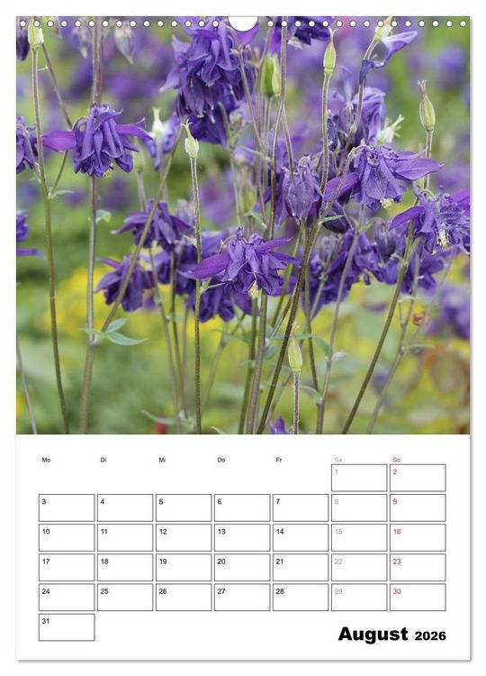 Produktbild: Zauberhafte Akeleien (Wandkalender 2026 DIN A3 hoch), CALVENDO Monatskalender