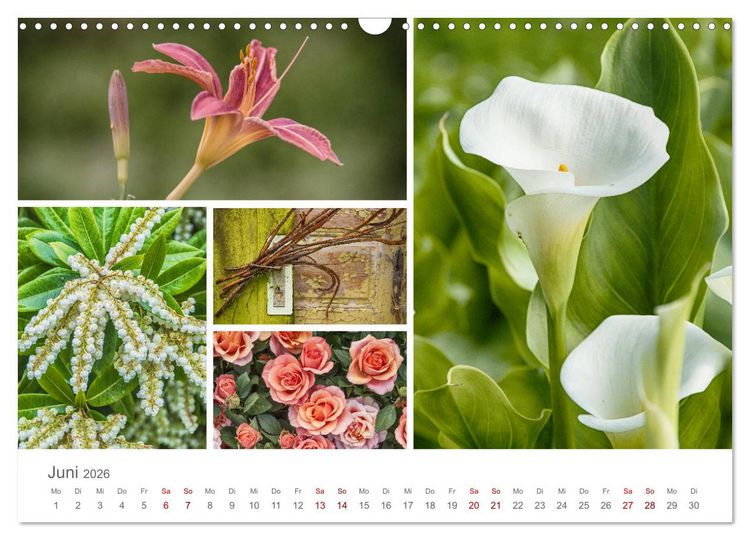Produktbild: Ein Garten, der zum Verweilen einl&auml;dt (Wandkalender 2026 DIN A3 quer), CALVENDO Monatskalender