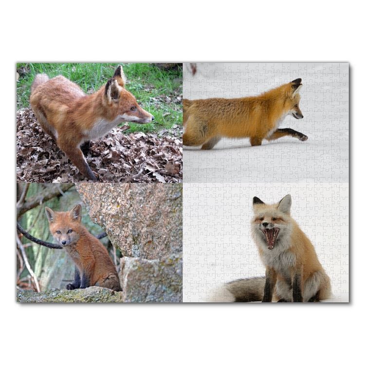 Produktbild: Lais Puzzle Collage Fuchs 1000 Teile