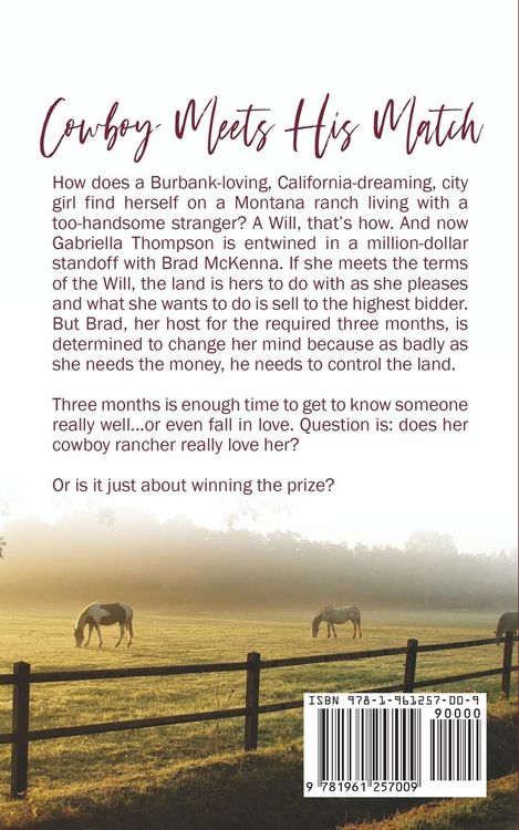 Produktbild: Cowboy Meets His Match