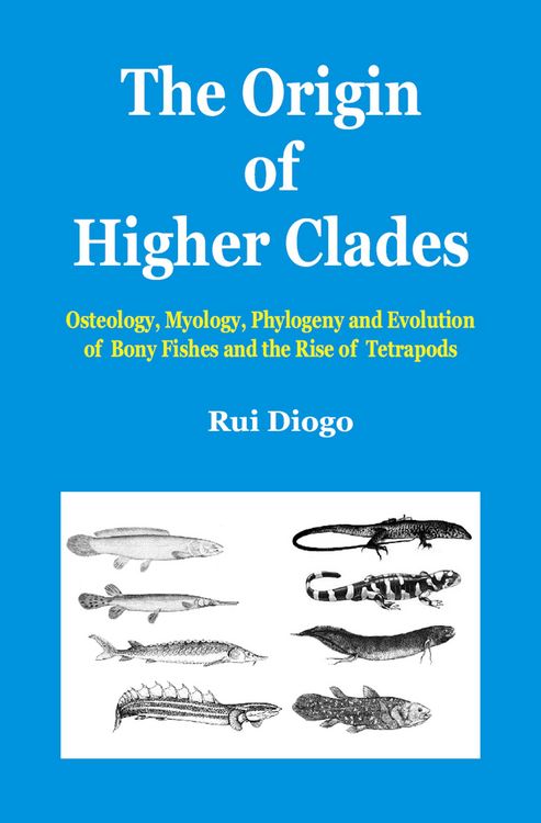 Produktbild: The Origin of Higher Clades