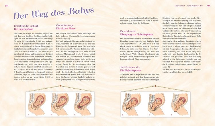 Produktbild: Das gro&szlig;e Mama-Handbuch