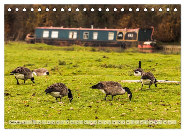 Produktbild: Narrow Boating auf dem Grand Union Canal (Tischkalender 2026 DIN A5 quer), CALVENDO Monatskalender