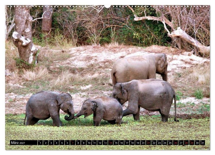 Produktbild: Sri Lanka - Highlights (Wandkalender 2027 DIN A2 quer), CALVENDO Monatskalender