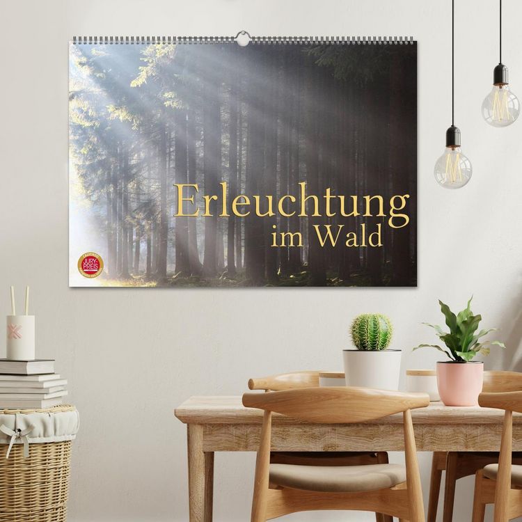 Produktbild: Erleuchtung im Wald (Wandkalender 2026 DIN A2 quer), CALVENDO Monatskalender