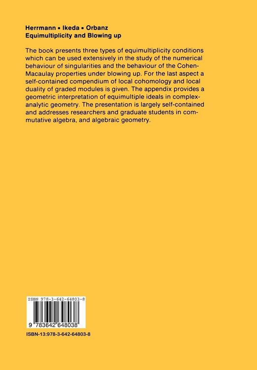 Produktbild: Equimultiplicity and Blowing Up