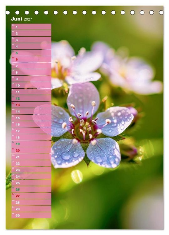 Produktbild: Bunte Augenblicke (Tischkalender 2027 DIN A5 hoch), CALVENDO Monatskalender