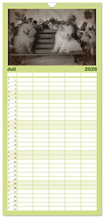 Produktbild: Familienplaner 2026 - Oma's Katzenkalender 2026 mit 5 Spalten (Wandkalender, 21 x 45 cm) CALVENDO