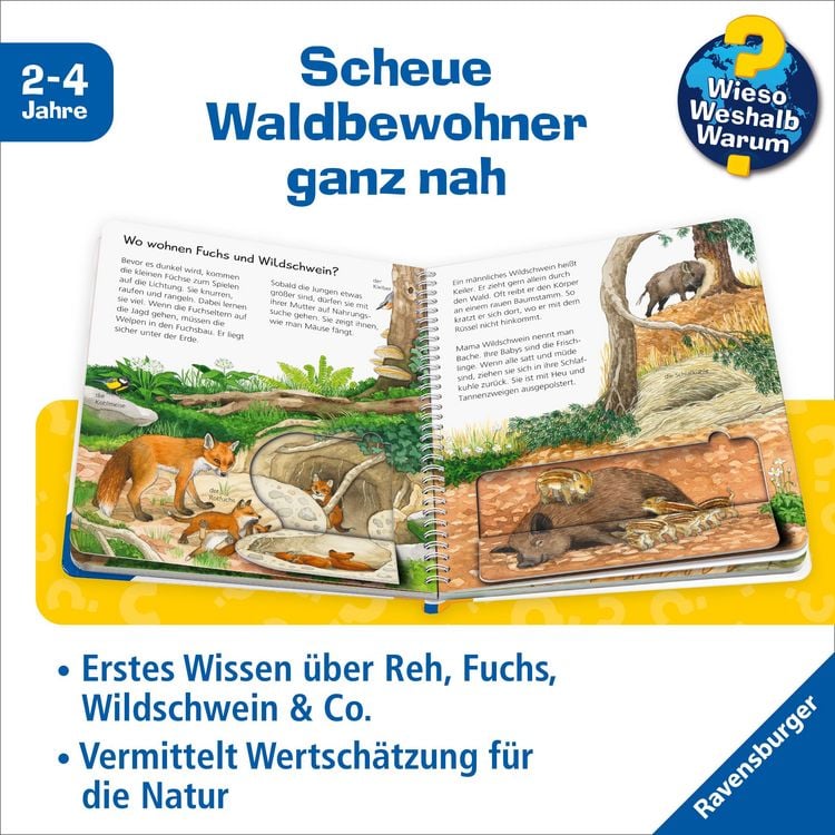 Produktbild: Wieso? Weshalb? Warum? junior, Band 77 - Tiere im Wald