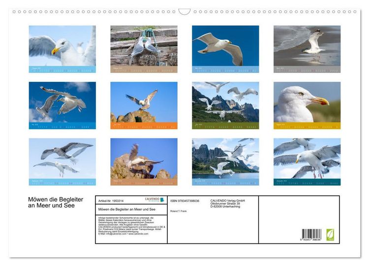 Produktbild: M&ouml;wen die Begleiter an Meer und See (Wandkalender 2026 DIN A2 quer), CALVENDO Monatskalender