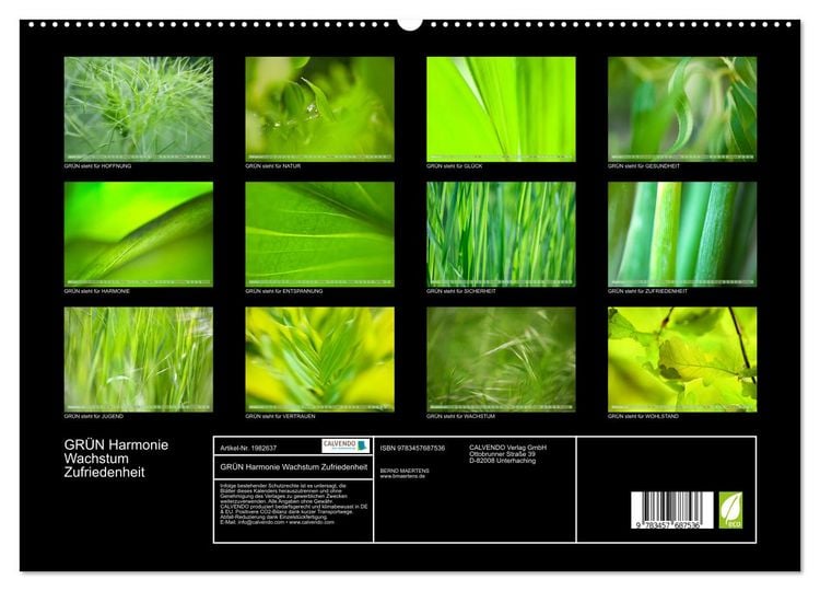 Produktbild: GR&Uuml;N Harmonie Wachstum Zufriedenheit (hochwertiger Premium Wandkalender 2026 DIN A2 quer), Kunstdruck in Hochglanz