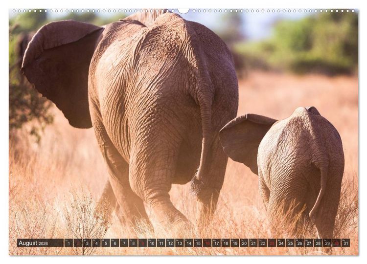 Produktbild: Kenia 2026 (hochwertiger Premium Wandkalender 2026 DIN A2 quer), Kunstdruck in Hochglanz