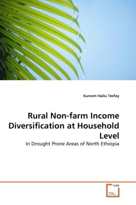 Produktbild: Tesfay, K: Rural Non-farm Income Diversification at Househol