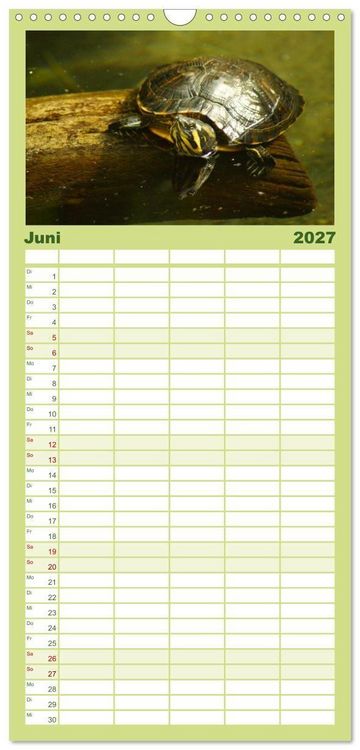 Produktbild: Familienplaner 2027 - Das Leben der Schildkr&ouml;ten mit 5 Spalten (Wandkalender, 21 x 45 cm) CALVENDO