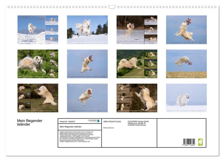 Produktbild: Mein fliegender Isl&auml;nder (Wandkalender 2026 DIN A2 quer), CALVENDO Monatskalender