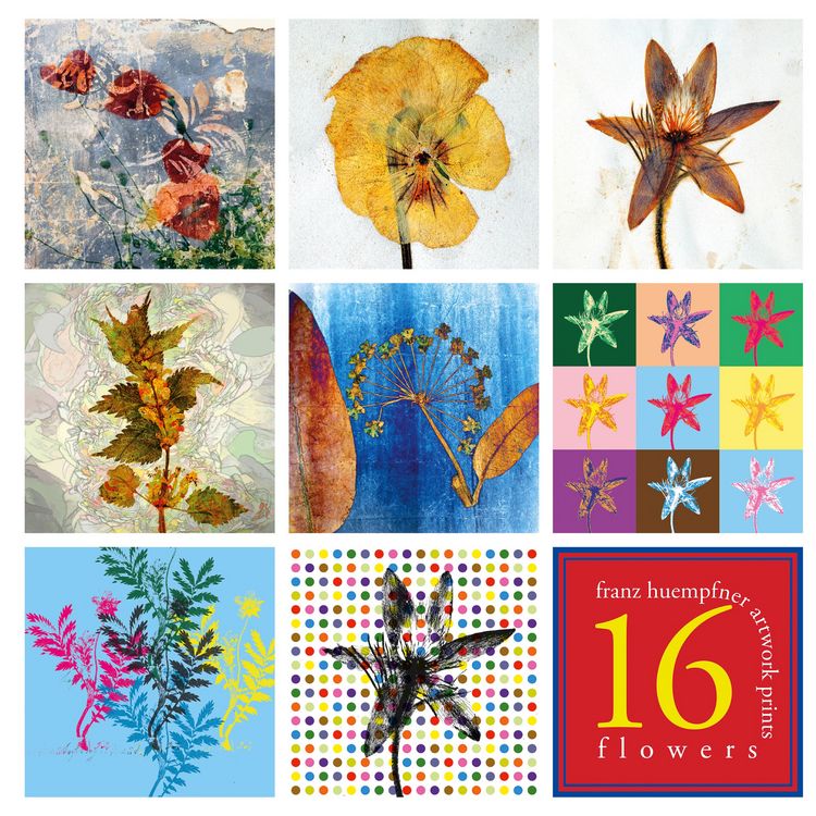 Produktbild: 16 Artworks - Flowers