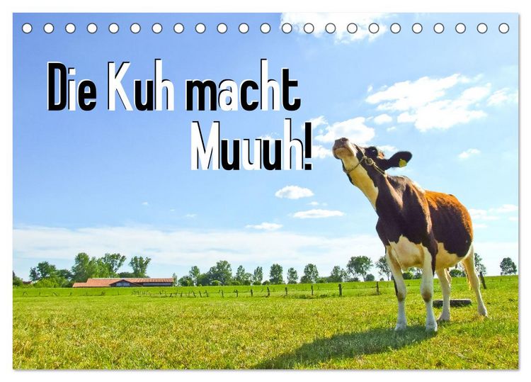 Produktbild: Die Kuh macht Muuuh! (Tischkalender 2026 DIN A5 quer), CALVENDO Monatskalender