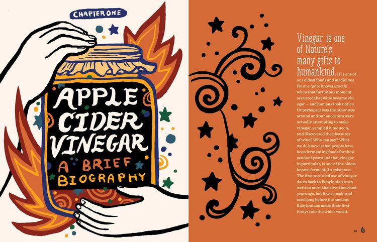 Produktbild: Fire Cider!