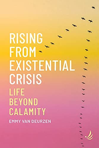Produktbild: Rising from Existential Crisis