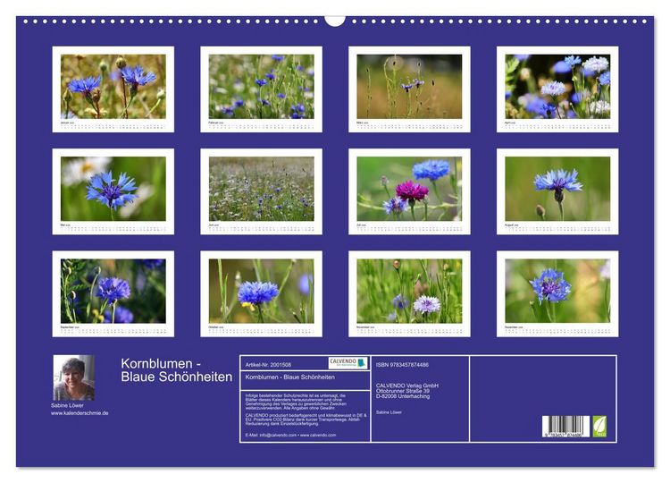 Produktbild: Kornblumen - Blaue Sch&ouml;nheiten (Wandkalender 2026 DIN A2 quer), CALVENDO Monatskalender