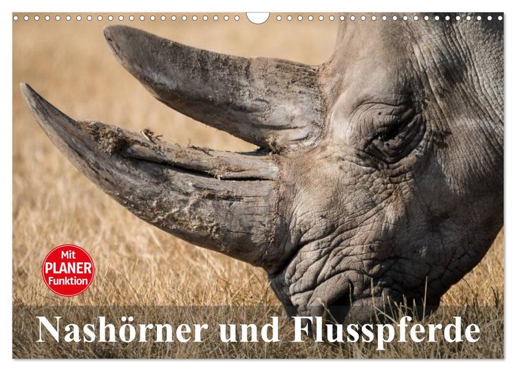 Produktbild: Nash&ouml;rner und Flusspferde (Wandkalender 2026 DIN A3 quer), CALVENDO Monatskalender