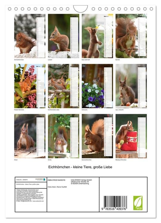 Produktbild: Eichh&ouml;rnchen - kleine Tiere, gro&szlig;e Liebe (Wandkalender 2026 DIN A4 hoch), CALVENDO Monatskalender