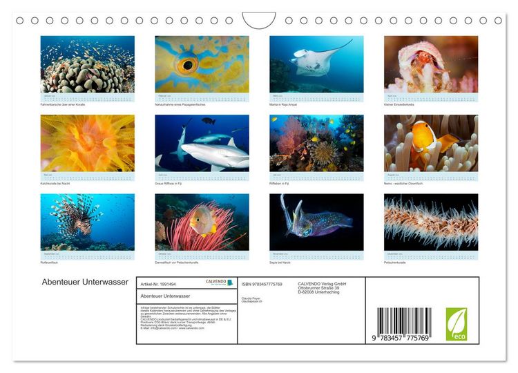 Produktbild: Abenteuer Unterwasser (Wandkalender 2026 DIN A4 quer), CALVENDO Monatskalender