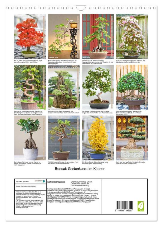 Produktbild: Bonsai: Gartenkunst im Kleinen (Wandkalender 2026 DIN A3 hoch), CALVENDO Monatskalender