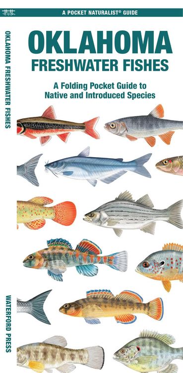 Produktbild: Oklahoma Freshwater Fishes