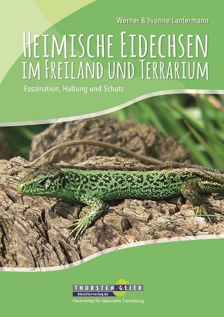 Produktbild: Heimische Eidechsen im Freiland und Terrarium