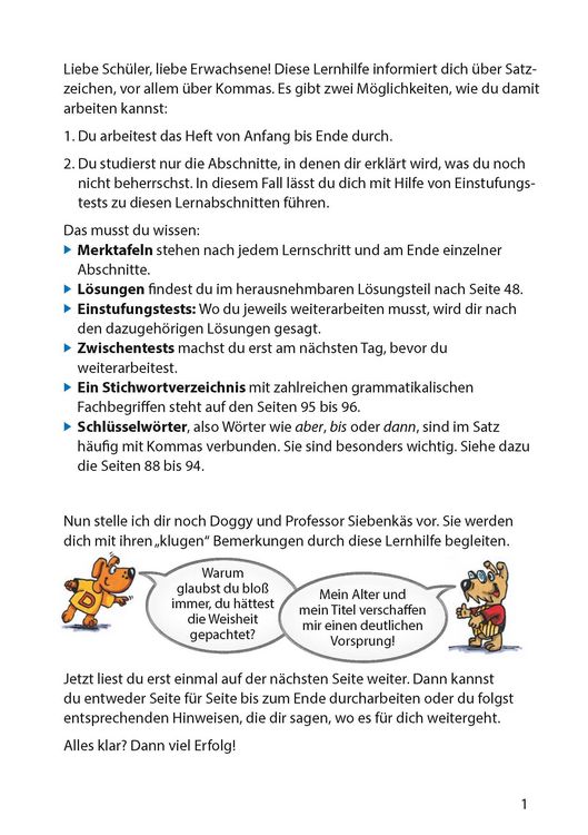 Produktbild: Zeichensetzung ab 6. Klasse und f&uuml;r Erwachsene